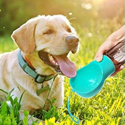 GOURDE-D'EAU-PORTABLE-POUR-CHIEN-BLEU