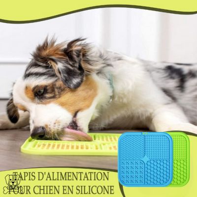 TAPIS-DE-LÉCHAGE-POUR-CHIEN-VERT