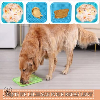 TAPIS-DE-LÉCHAGE-POUR-CHIEN-MULTI